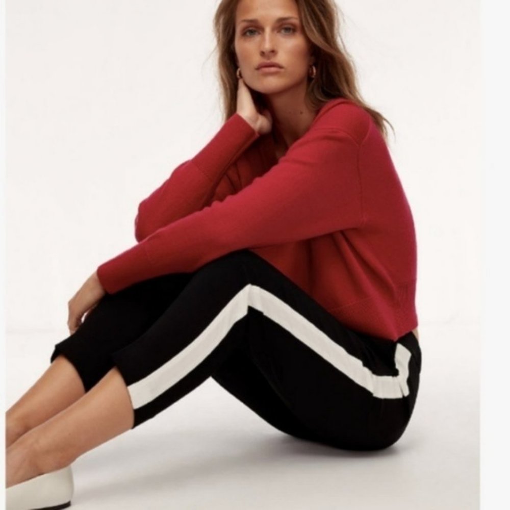 Aritzia Babaton Conan Cropped Dress Pant